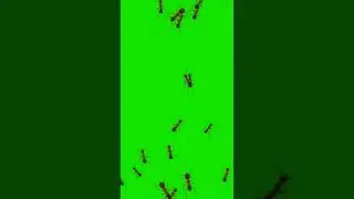 Ant's On Green Screen VFX