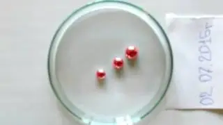 Красная ртуть?