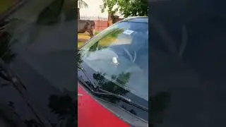 Brezza zdi plus framless wiper blade view #Maruti #Brezza #framless #wiper #blade #modification 🥰😂😂😍