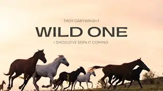 Troy Cartwright - Wild One (Audio)