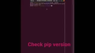 Check python pip version installed
