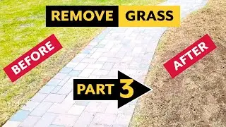 De-Thatch , then Roundup! | Grass Conversion Part 3