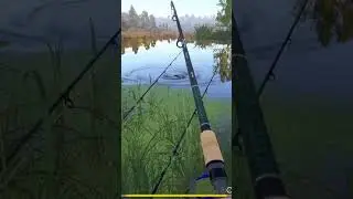 Окунь ГИГАНТ Русская рыбалка 4🦊GIANT perch Russian fishing 4 Подпишись! жду на стриме!