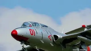 BIAS 2019 evolutie L29 Delfin  #bias2019 #airshow