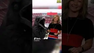 Pterodaktyl na Żywo w Studiu