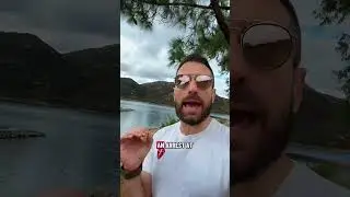 Ловушка грин-карт: ICE арестовывает иммигрантов на собеседованиях в USCIS #иммиграция #грин-карта