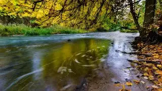 8 Hours River Stream | Continuous Relaxing Water Sounds for Deep Sleep and Meditation