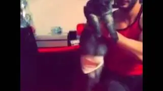 Funy video 2016