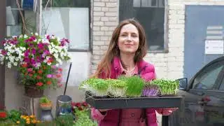 Wertykalne farmy - pomysł na rolnictwo w mieście