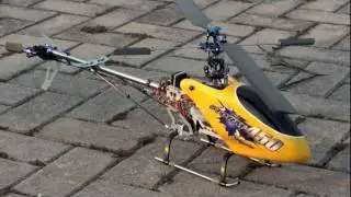 HeliPal.com - STORM 450 RC Helicopter 3D Test