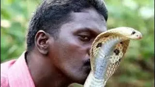 Dangerous Cobra snake Kiss 💋 Compitition Boy Vs Girl #Youtube #cobrasnake