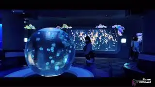 【Enoshima Aquarium】Day trips from Tokyo to Enoshima, Fujisawa