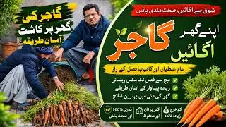 Carrot Harvest From Grow Bag 🥕 | Do & Don&rsquo;t That Every Gardener Must Know