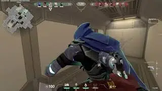 NUTTYBUDDY CLIPS