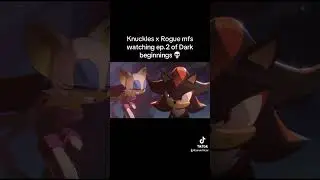 Наклз и Роуг сегодня вместе 💀 #sonic #shadowthehedgehog #anime #memes