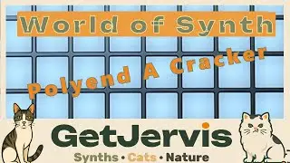 Synth Secrets: Polyend did it again! Episode 678#chat #cat #synth #polyend  #filter #dirt