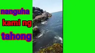 Nanguha kami ng tahong/mussel#malalaki
