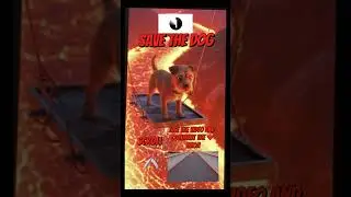 Save the dog!