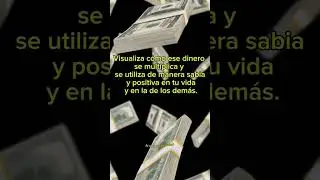 Consejo para cuando recibes dinero #espiritualidad #parati #foryou #manifestar #metafisica #dinero