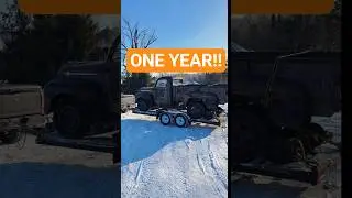 Celebrating one year of Dalila!! #1952fordf3