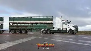 Nicholls Kenworth T904 Triple roadtrain leaving Yorkeys Crossing and heading north up the Stuart Hwy