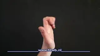 Alle vuisten