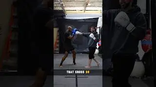 Counter Punch Like a Pro 🥊 #boxing #fitness #muaythai #gym #martialarts