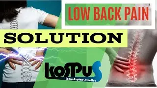 LOW BACK PAIN | SPINAL INSTABILITY | LOWER BACK EXERCISES  |  #lowerbackpain #backache