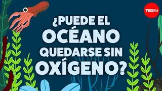 ¿Puede el océano quedarse sin oxígeno? - Kate Slabosky
