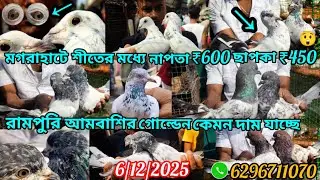 শীতের মধ্যে নাপতা ₹600 ছাপকা ₹450 ব়ামপুব়ি গোল্ডেন কেমন কি দামে বিক্রি হচ্ছে চলুন দেখে আসি সবাই🏃‍♂️