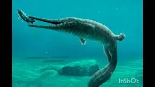 paleoarte: Gabriel Ugueto