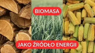 Czy to nowa nadzieja na ekologiczną energię? Biomasa - zalety, wady, wyzwania