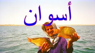سفينة تحمل أسماك صيد  بحيرة السد العالي 【مدهش / مصر】   #نيل#         #أسوان#        #نظرة#