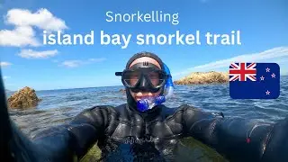 Come Explore The Beautiful Snorkel Trail In Island Bay, Wellington, New Zealand!