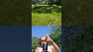 Gardening tips - with #WagsChicago - 'Black Berries' Part 1 : July 14, 2022