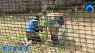 PAINTBALL BOGOR