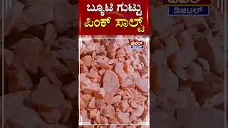 Pink Salt : ಬ್ಯೂಟಿ ಗುಟ್ಟು ಪಿಂಕ್​ ಸಾಲ್ಟ್​​ | Beauty Tips | Power TV