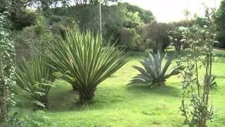 Conhe&ccedil;a BH: Parque das &Aacute;guas