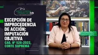 Excepción de Improcedencia de Acción Imputación Objetiva - LCD # 304