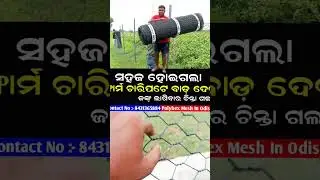 Best Low Cost Polyhex Mesh Fencing for Farmers in Odisha | Farm Protection Idea 2025 #shorts