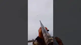 This one was real far when I folded em ! #goosehunting #waterfowl #hunting #geese