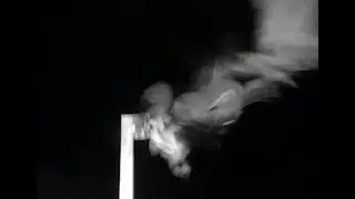 GHO attack on Charlie. Charlo Osprey nest. 05.48 / 13 April 2018