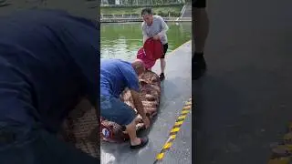 Techniques for keeping fish alive for a long time by catching fish in nets