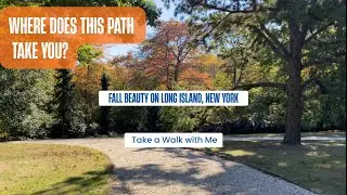 Nature Walk / Bayard Cutting Arboretum / Great River / Long Island / New York 
