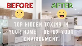 Top Household Toxins Harming Your Health | Environmental Detox Tips