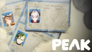 【PEAK】頂上を目指して協力しながら上に登っていくゲーム【白銀シオン視点】