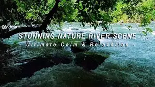 Stunning Nature River Scene &ndash; Ultimate Calm & Relaxation