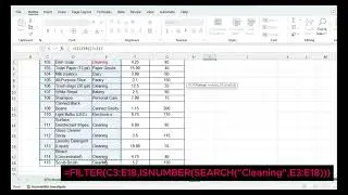 Excel FILTER: Find & Extract Data Based on Category (Partial Match)