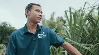 Cause Creative Highlight Reel