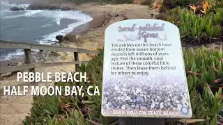 PEBBLE BEACH at BEAN HOLLOW STATE BEACH | HALF MOON BAY, CA